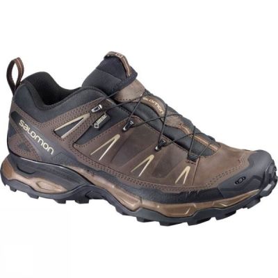 Zapatos Salomon X Ultra LTR GTX Hombre Marrones - Chile NKT427956